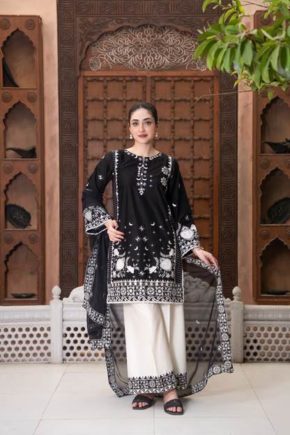 Noor Alaya - 3pc Suit Ready to wear