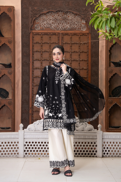 Noor Alaya - 3pc Suit Ready to wear