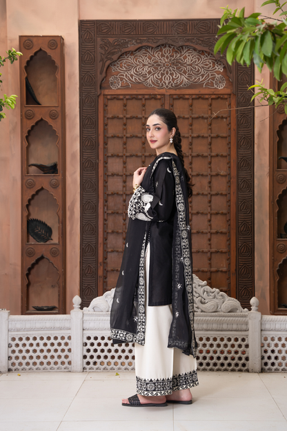 Noor Alaya - 3pc Suit Ready to wear