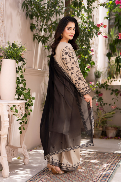 Noir-e-Zainab - 3pc Suit Ready to wear